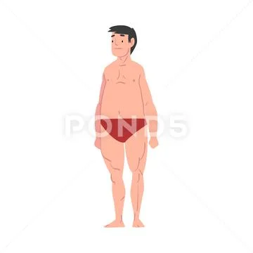 Overweight Man in Underwear, Male Body Type Cartoon Style Vector Illustration on Stock Illustration