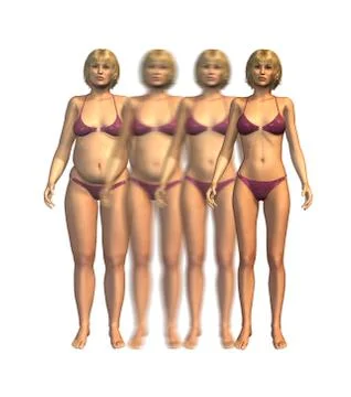 Overweight to Thin Stock Illustration