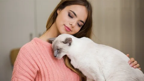 Overwhelming affection. Stock Footage 96707608