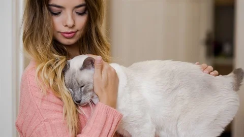 Overwhelming affection. Stock Footage 96742297