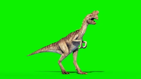 Oviraptor Dinosaurs Run Cycle Green Scre, Stock Video