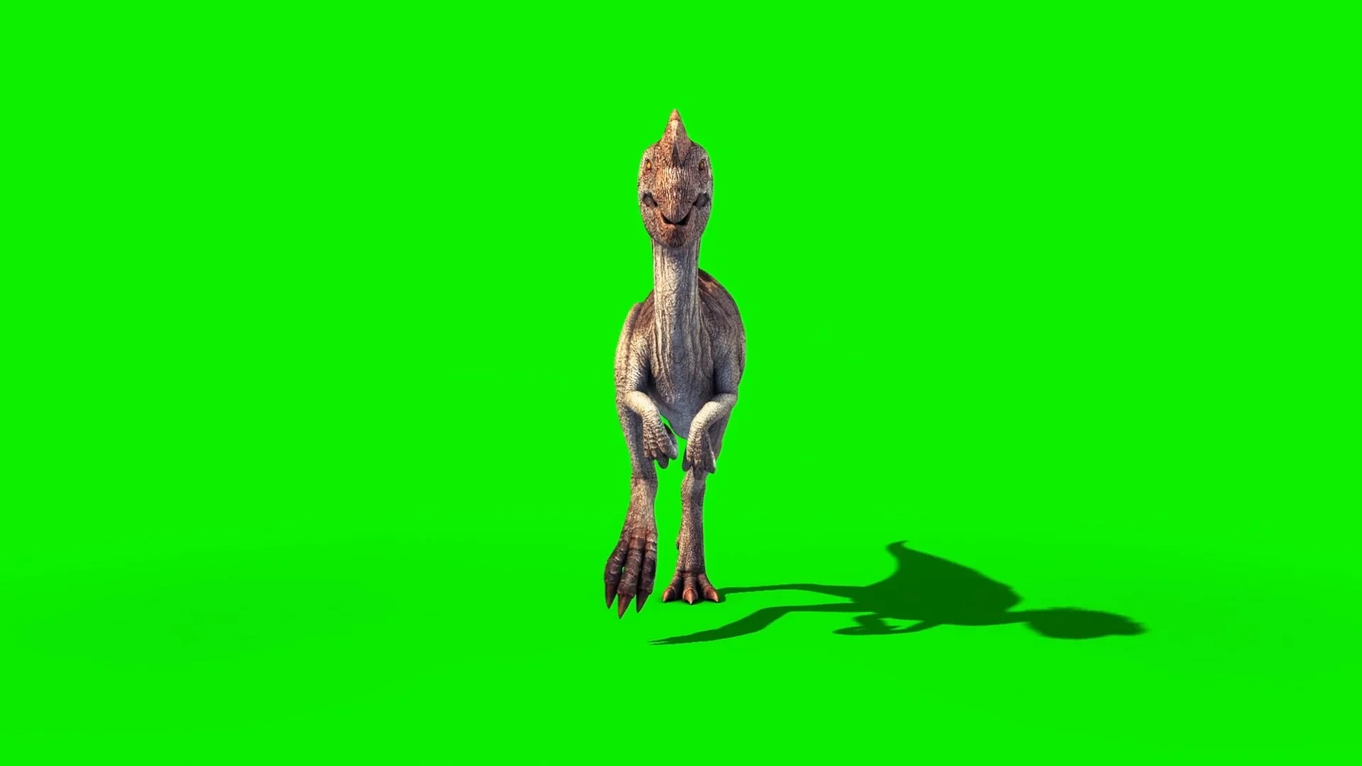 Dinosaur run cycle on Vimeo