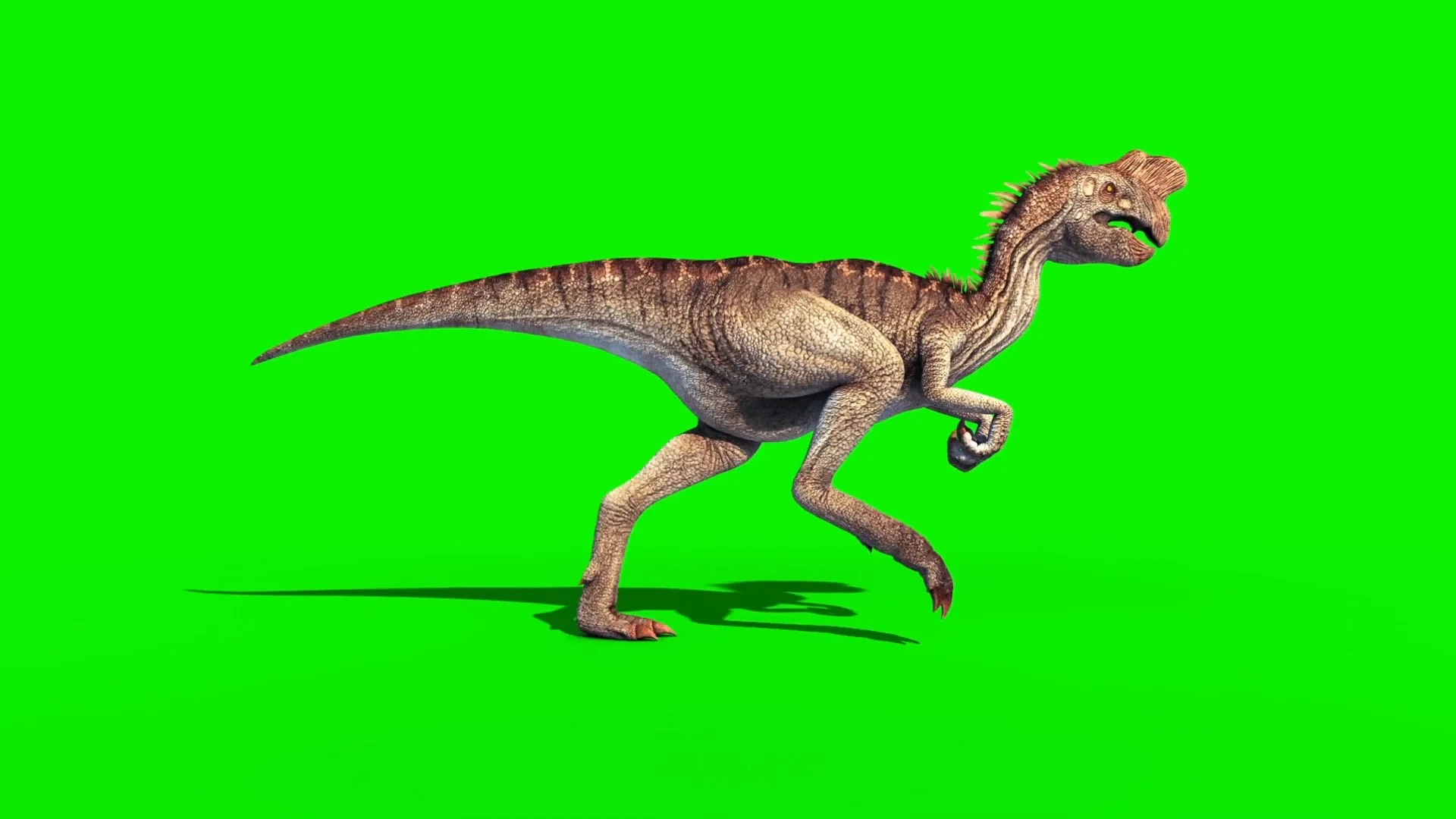 Dinosaur run cycle on Vimeo