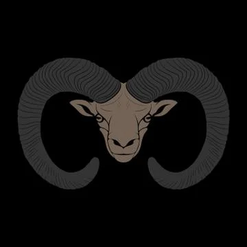 Ovis. mouflon Stock Illustration