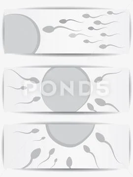 Ovum and spermatozoon. Fertilization ~ Clip Art #239286263