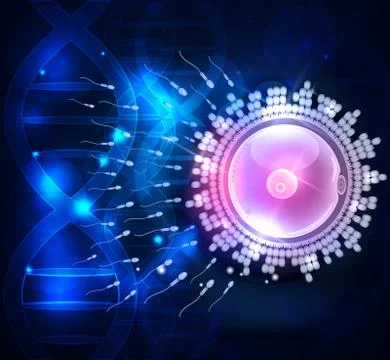 Ovum fertilization Ilustração Stock