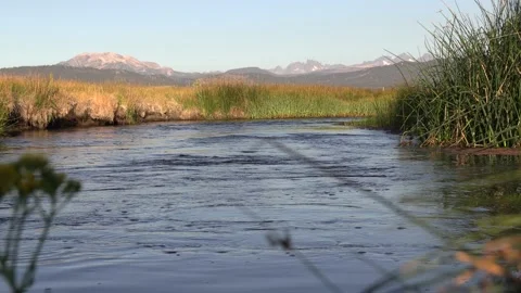 Owens River Bishop, CA Stock Footage 136907852