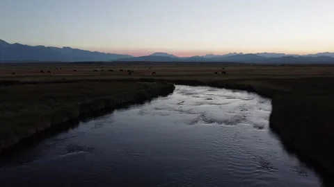 Owens River Dusk with Sierra in the Background Stock-Footage 136908355