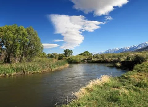 Owens river Stock Photos
