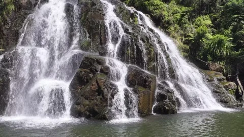 Owharoa Falls cascade Stock Footage 341460969