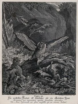 An owl is about to settle on its prey when it is attacked by two foxes and .. Stock Illustration
