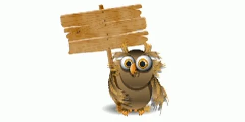 Owl Stock After Effects