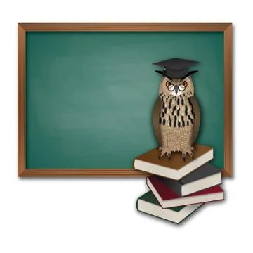 Owl and chalkboard Stock Illustration
