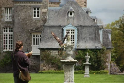 An Owl and Master Stock Photos