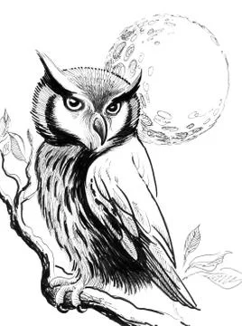Owl and the moon Stock Illustration