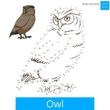 Owl bird learn to draw vector Stock Illustration