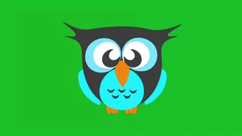 Owl bird sitting on a branch. Stock Footage 202054276
