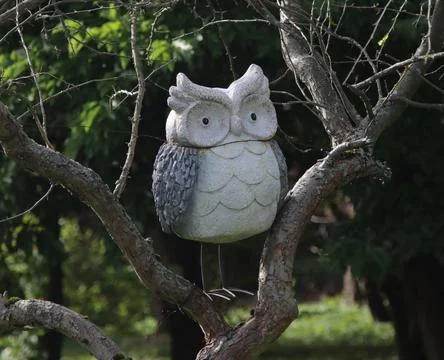 Owl bird on the tree. Stock Photos