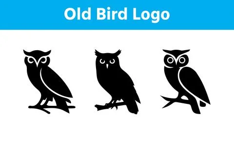 Owl Birds vector collection Stock Illustration