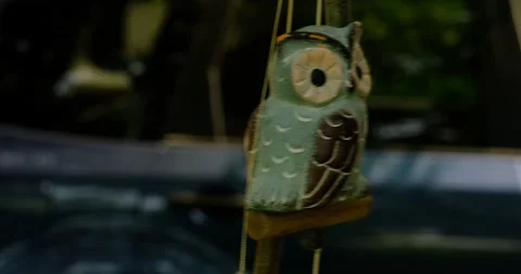 Owl Black Background 스톡 동영상 172456232