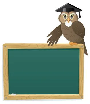 Owl &amp; Blackboard Stock Illustration