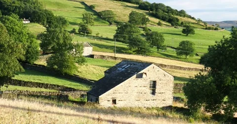 An owl box on a barn conversion in Wharfe near Austwick, Yorkshire Dales, UK. Video stock 255881485