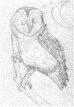 Owl on branch made of dots Illustrazione stock