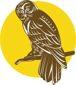 Owl on branch retro. Stock Illustration