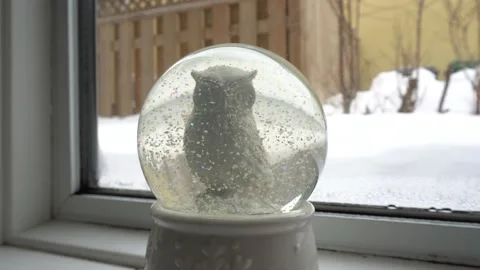Owl in a crystal snow globe 스톡 동영상 135422006
