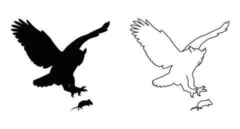 Owl diving to catch a mouse vector silhouettes and outlines with line art Stock Illustration