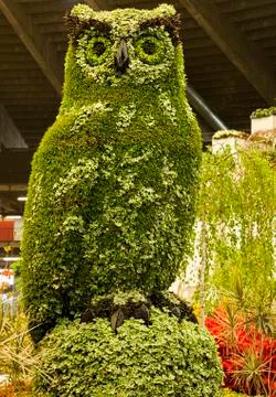 Owl from exposure Stock Photos