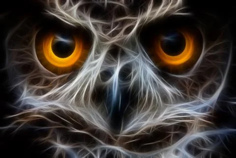 Owl face closeup Ilustração Stock
