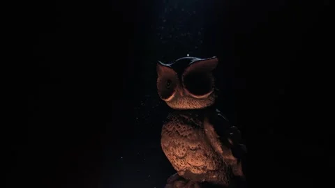 Owl figurine in a ray of light Stock Footage 258837045