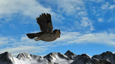 Owl fly over mountains Stock-Footage 35391048