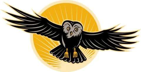 Owl flying Stock-Illustration