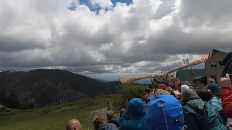 Owl flying over a crowd in Vancouver, Canada Stock-Footage 121044258