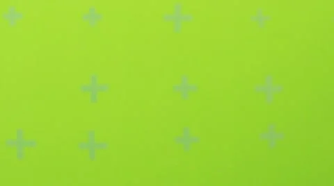 Owl Video stock 11142264