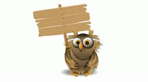 Owl Stock Footage 20602552