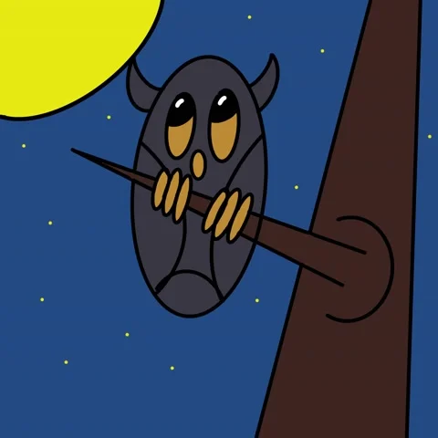Owl Stock Footage 170159680