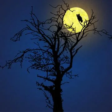 Owl in front of moon Stock Illustration