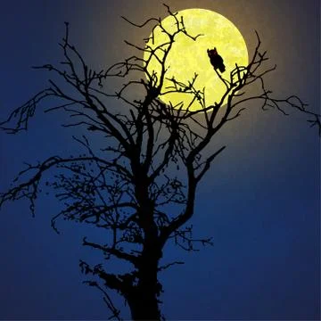 Owl in front of moon Stock Illustration