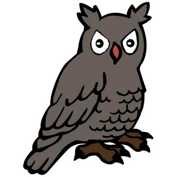 Owl, front view, white background Stock Illustration