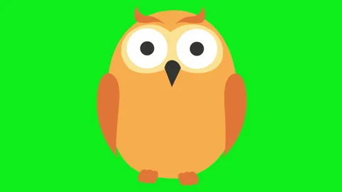 Owl green Stock Footage 160164707