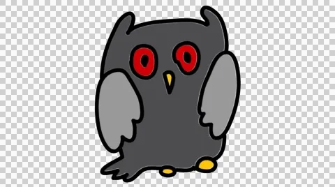 Owl hand drawn animation line sketch with transparent background Stock Footage 44208573