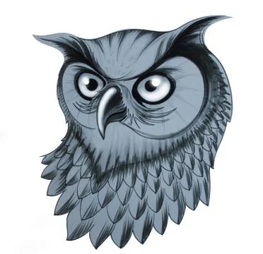 Owl head Stock Illustration