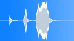 Owl HootSound Effect