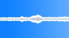 Owl Hoot in Tropical ForestSound Effect