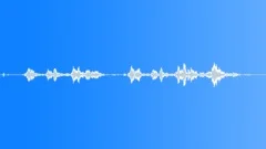 Owl Hooting In WoodsSound Effect