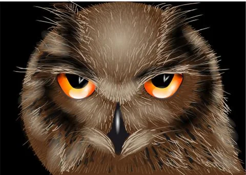 The owl Stock Illustration