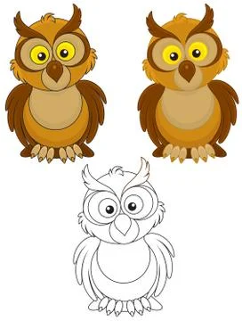 Owl Stock Illustration